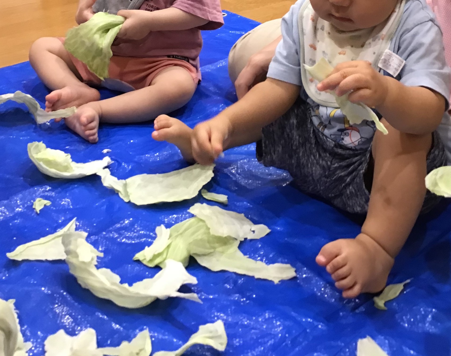 ⁂8月の食育活動