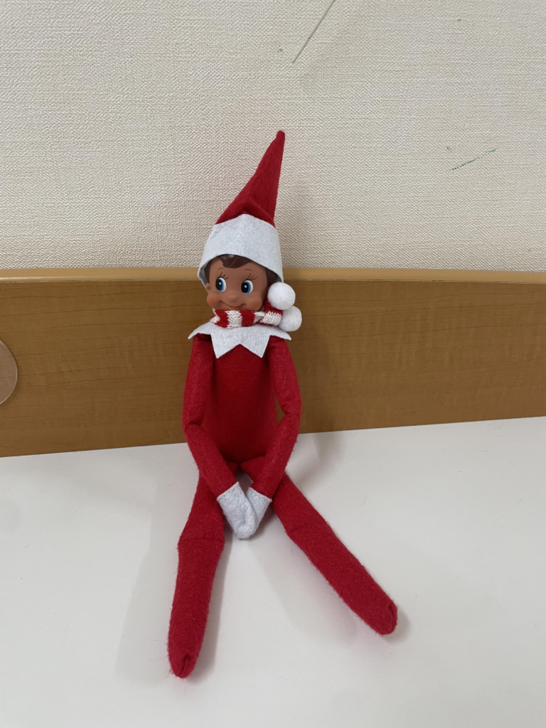 買付期間 【新品】エルフオンザシェルフ the Elf on the Shelf