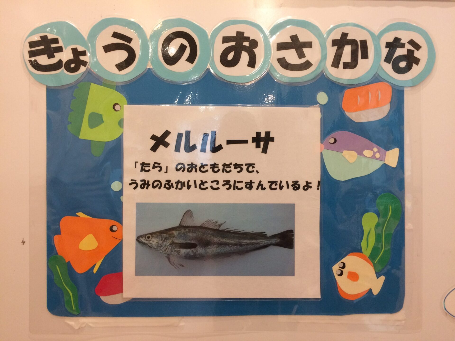 ⁂きょうのおさかななぁにかな？🐟