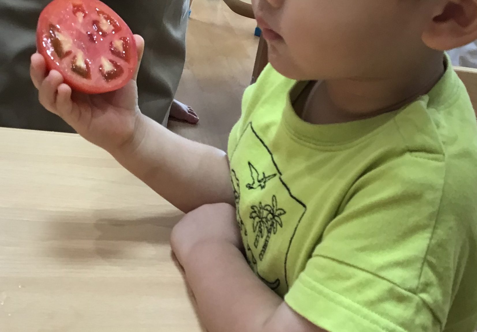 ⁂【食育】夏野菜に触れよう！（乳児）