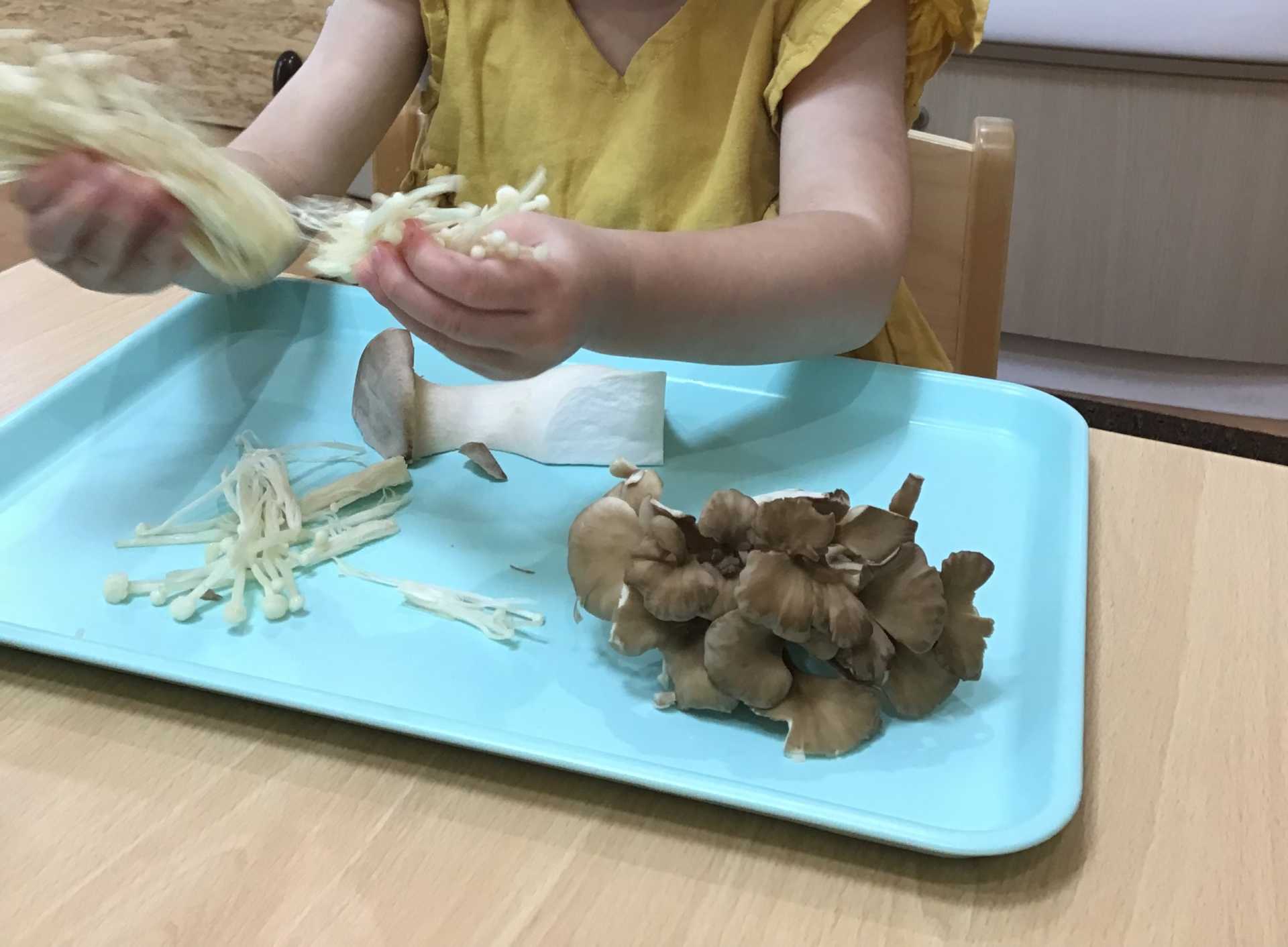 ⁂【食育】きのこに触れよう！