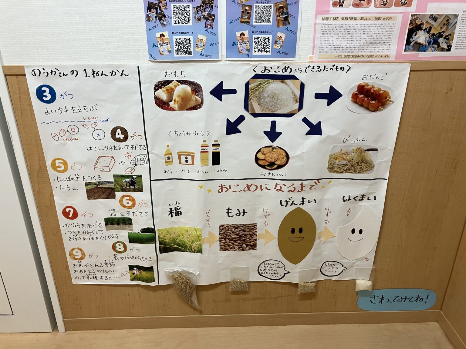 ⁂11月の食育活動～お米を知ろう～ | アソシエブログ