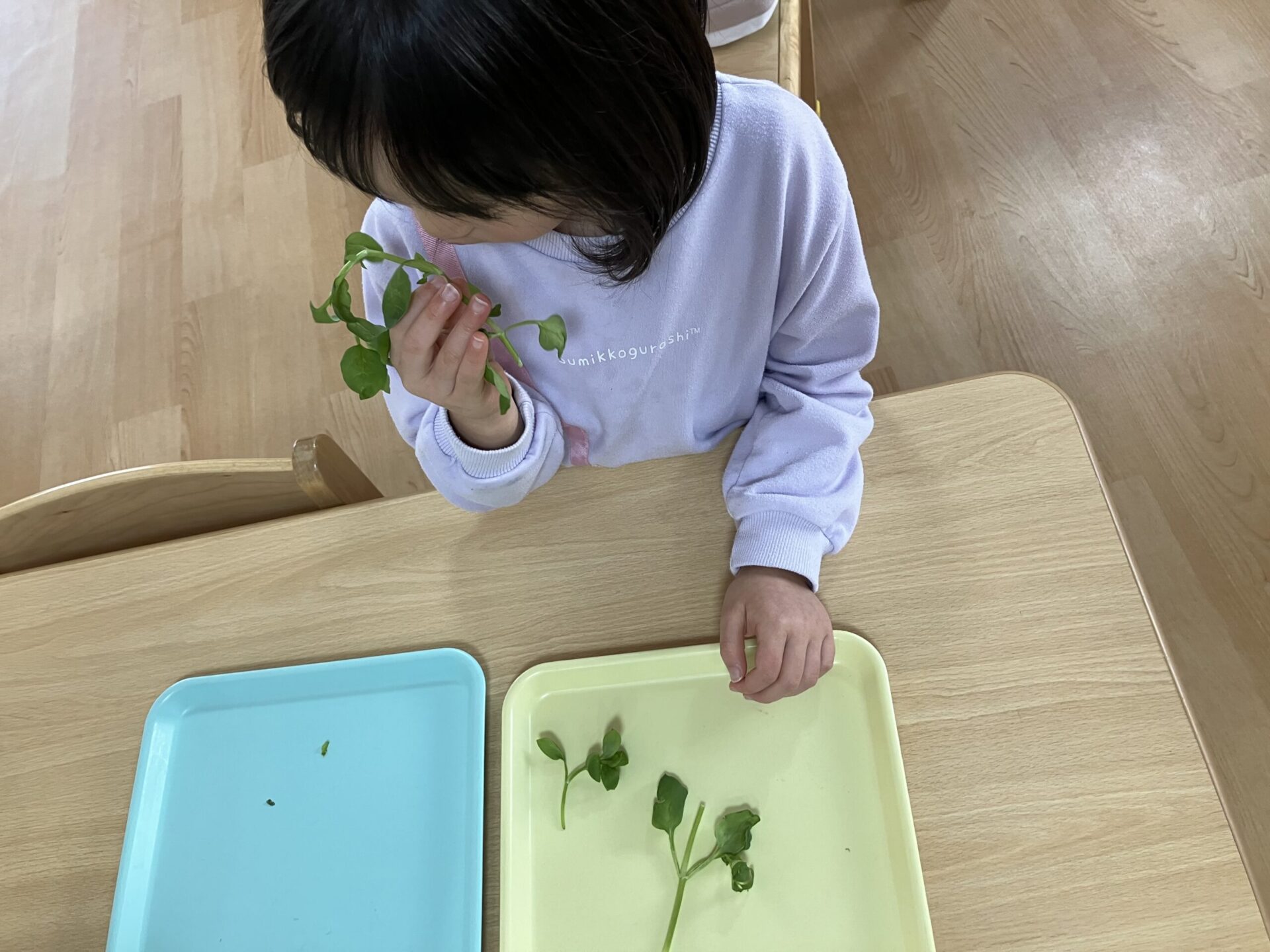 ⁂【食育】どうして七草がゆを食べるの？