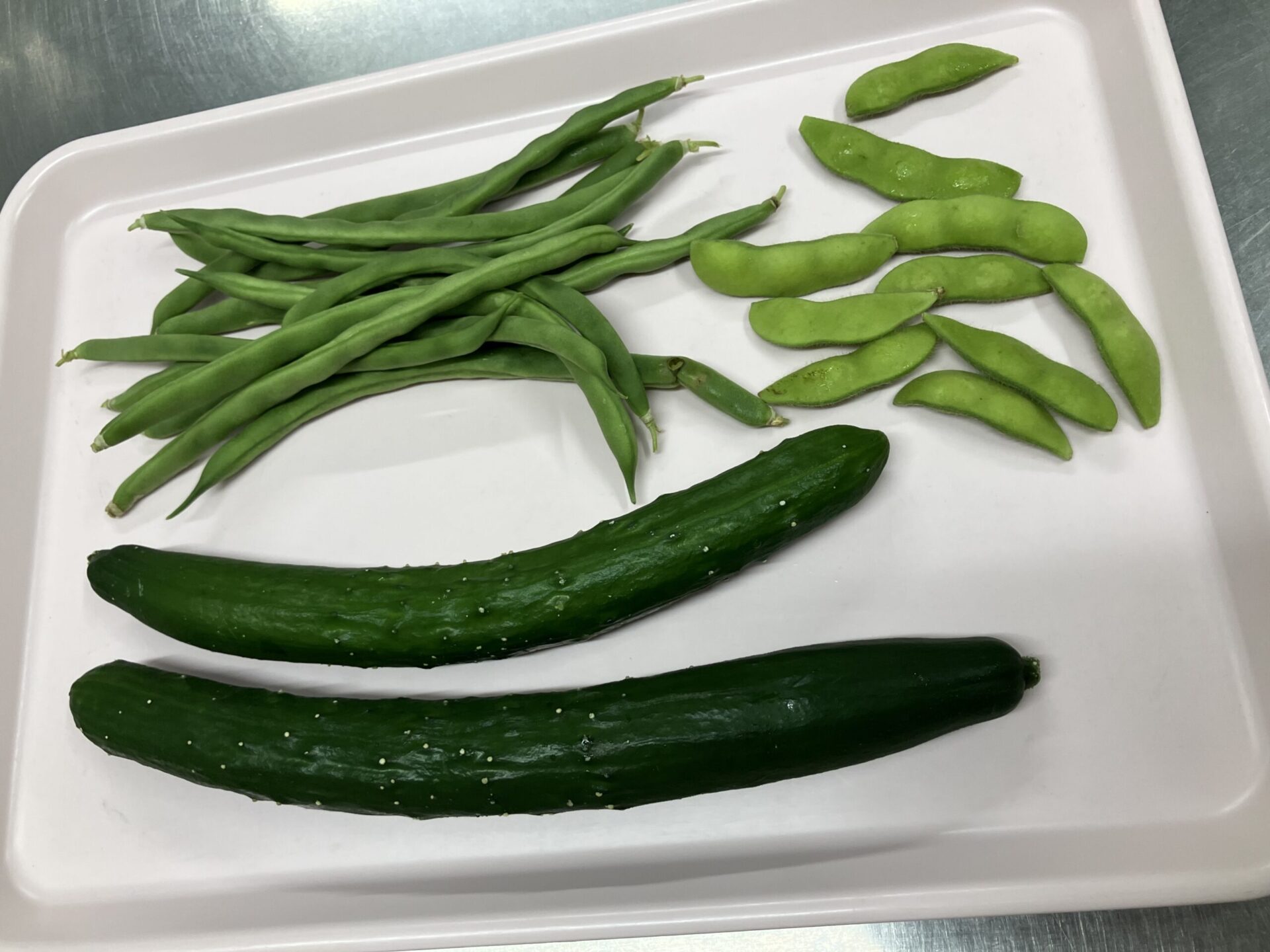 ⁂夏野菜を収穫してます