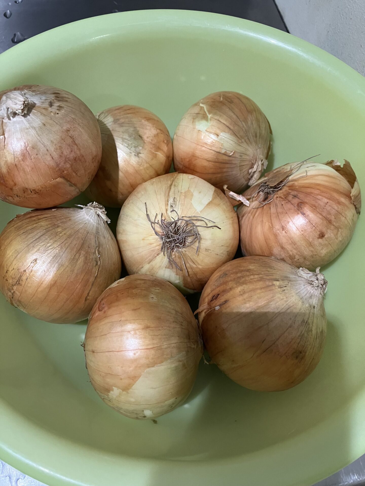 ⁂【食育】ハンカチの玉ねぎの皮染め