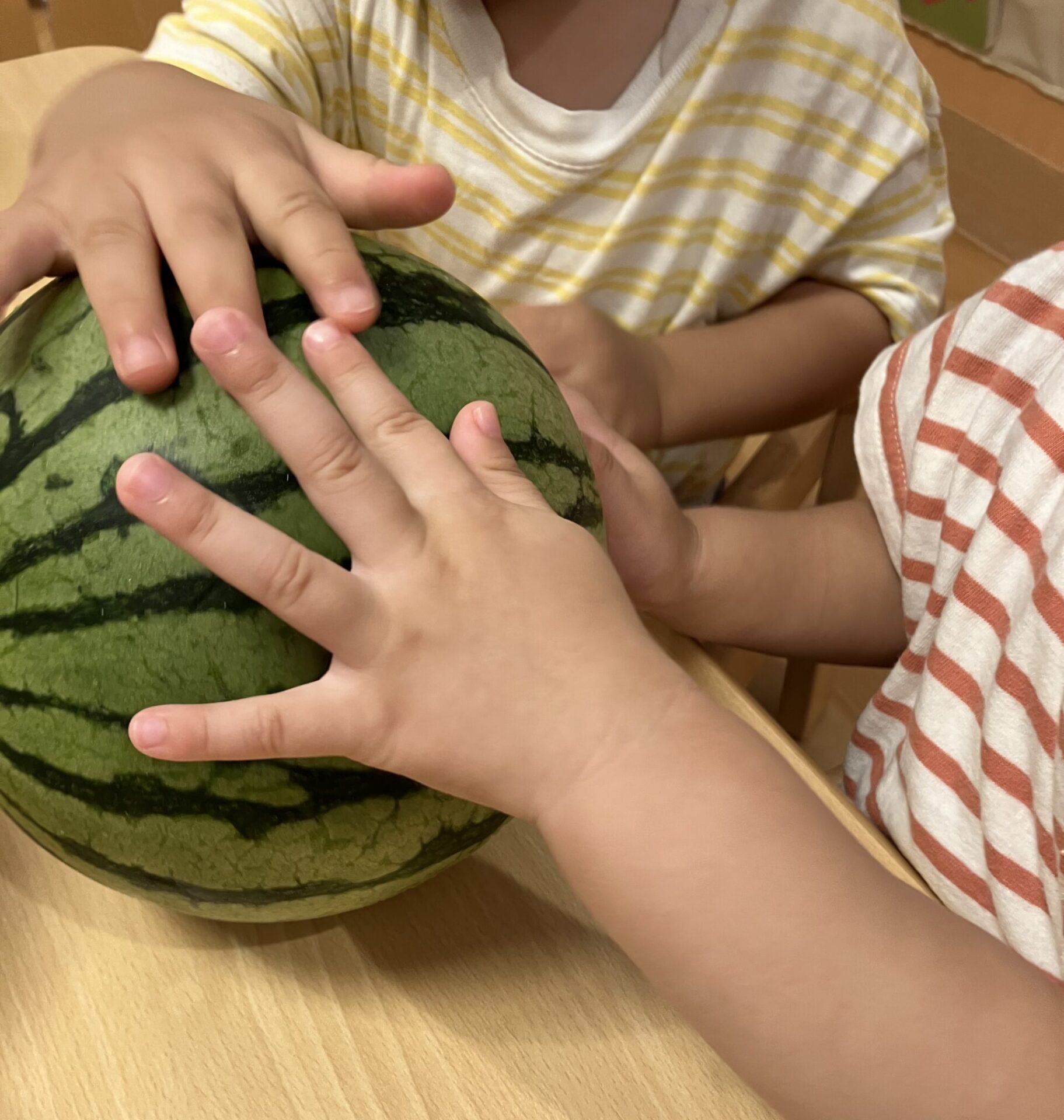 ⁂8月　ひよこ組・こあら組食育活動