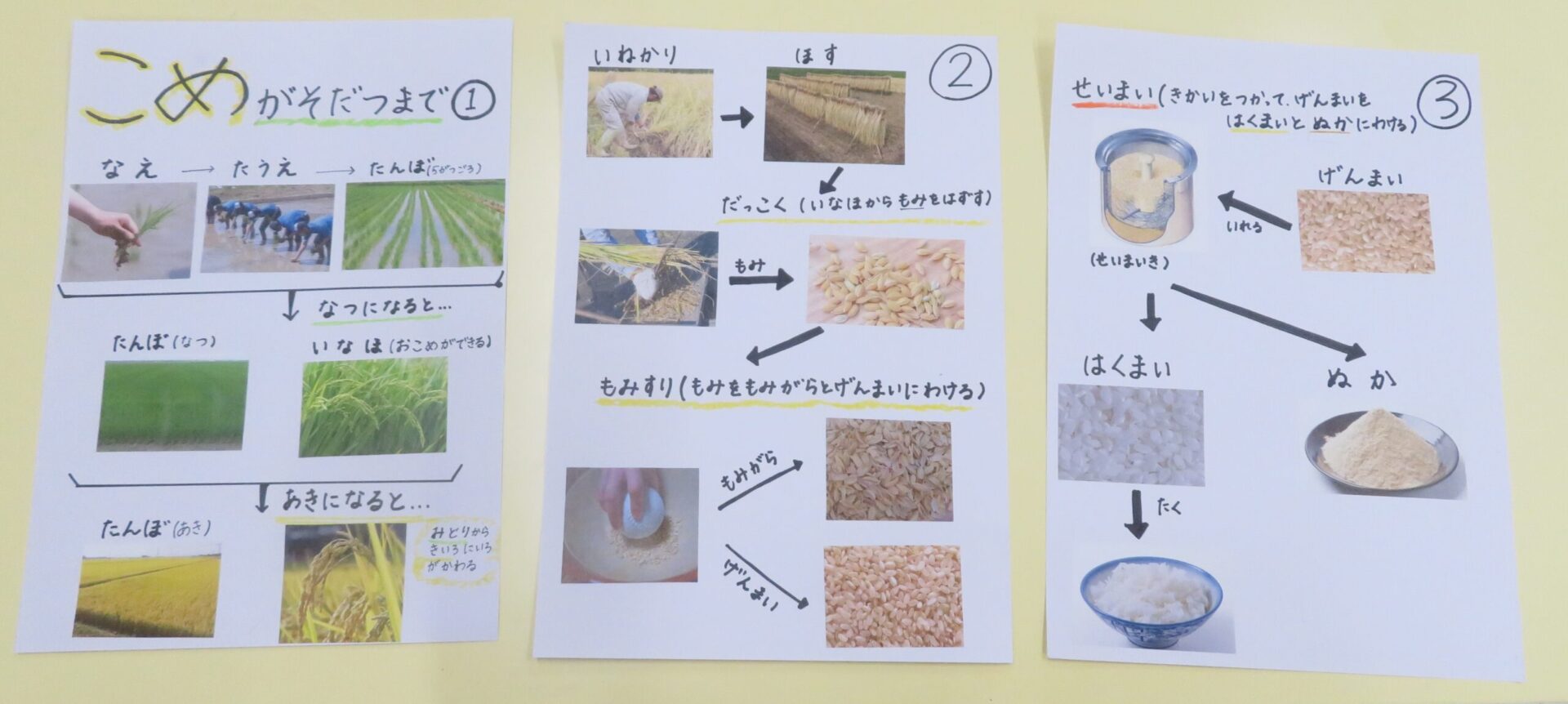 ⁂米研ぎに挑戦！　～炊きあがったご飯でいなり寿司作り～