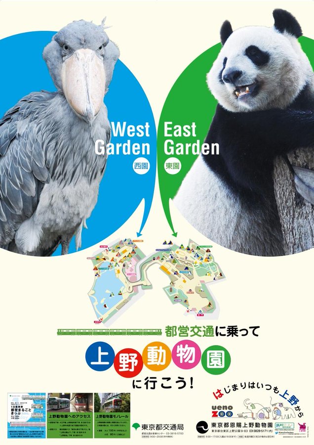 【行事】上野動物園に行ってきました！