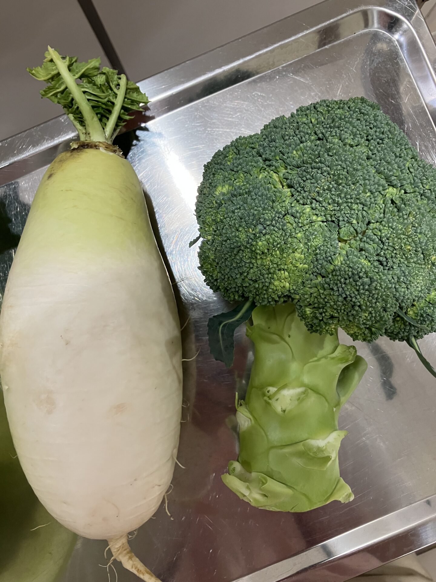 ⁂３月の食育活動(ひよこ組・うさぎ組)