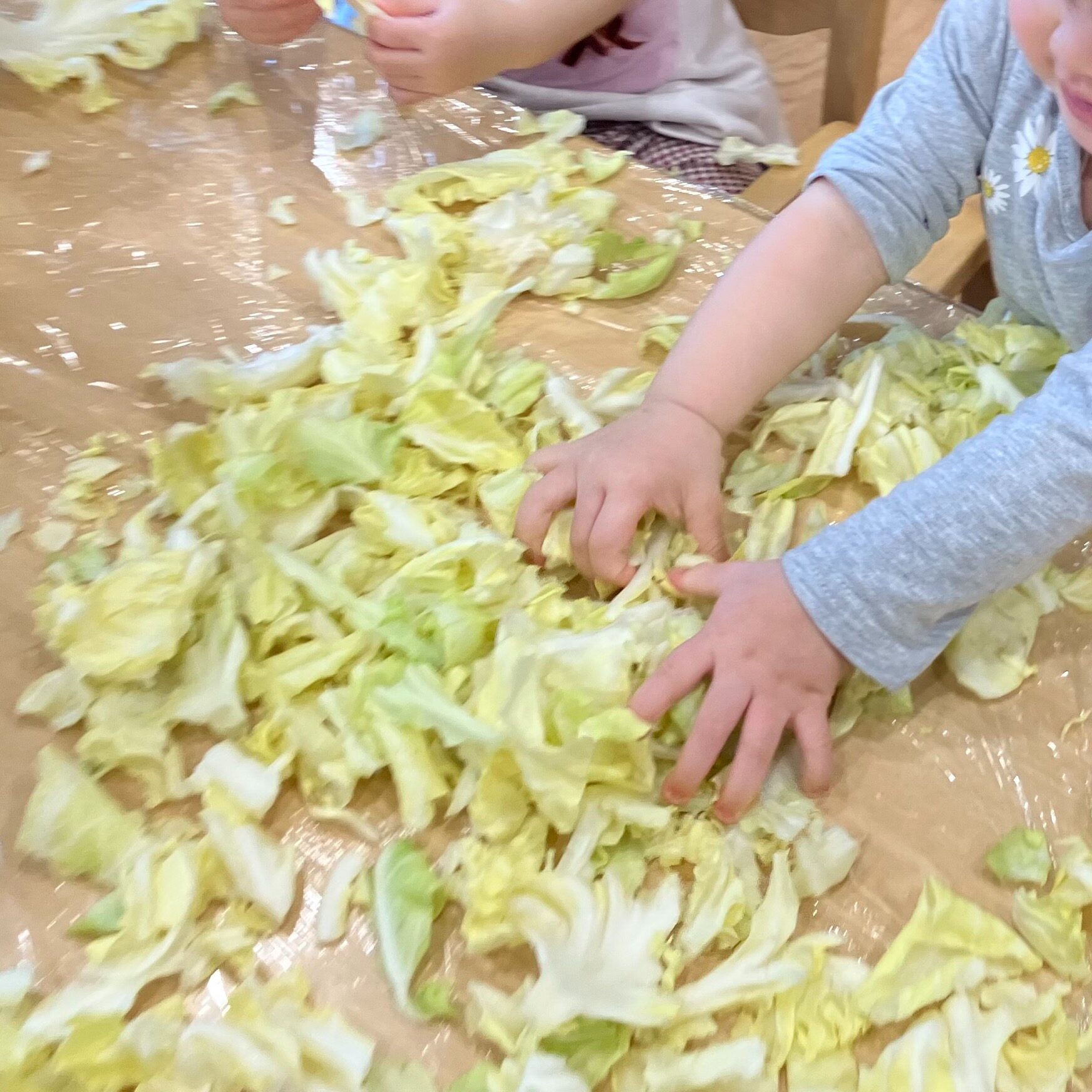 食品 AKEさま野菜