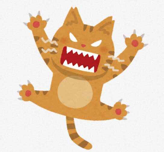 明光キッズ,明光キッズ池尻大橋,空手,習い事,学童,学童保育,民間学童,民間学童保育.民間,公設学童,お稽古,池尻大橋,池尻,大橋,目黒区,日本代表,森川琢也,料金,値段