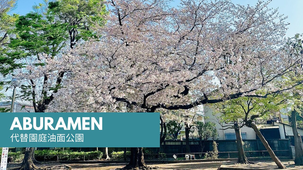 代替園庭油面公園リニューアル♪