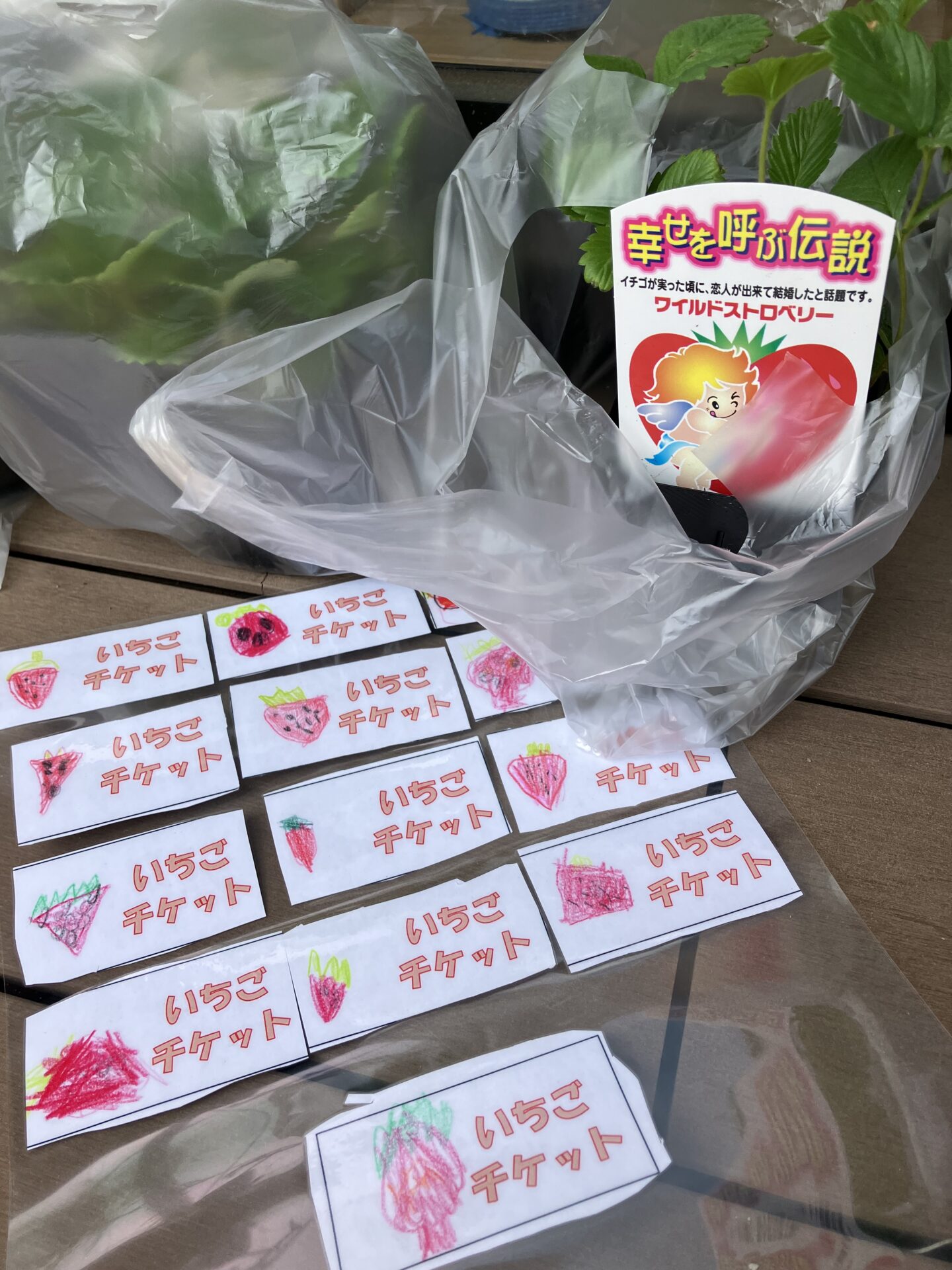 はじめてのおつかい🍓