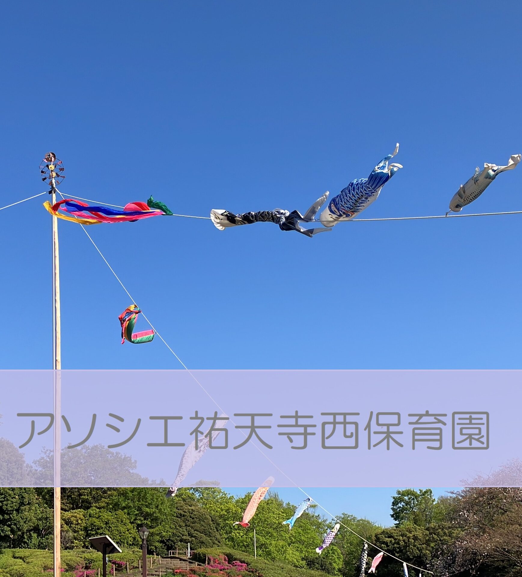 こいのぼりみっけ！