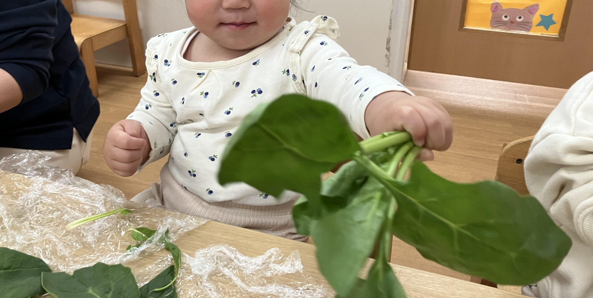 ⁂1歳児食育　ほうれんそうちぎり