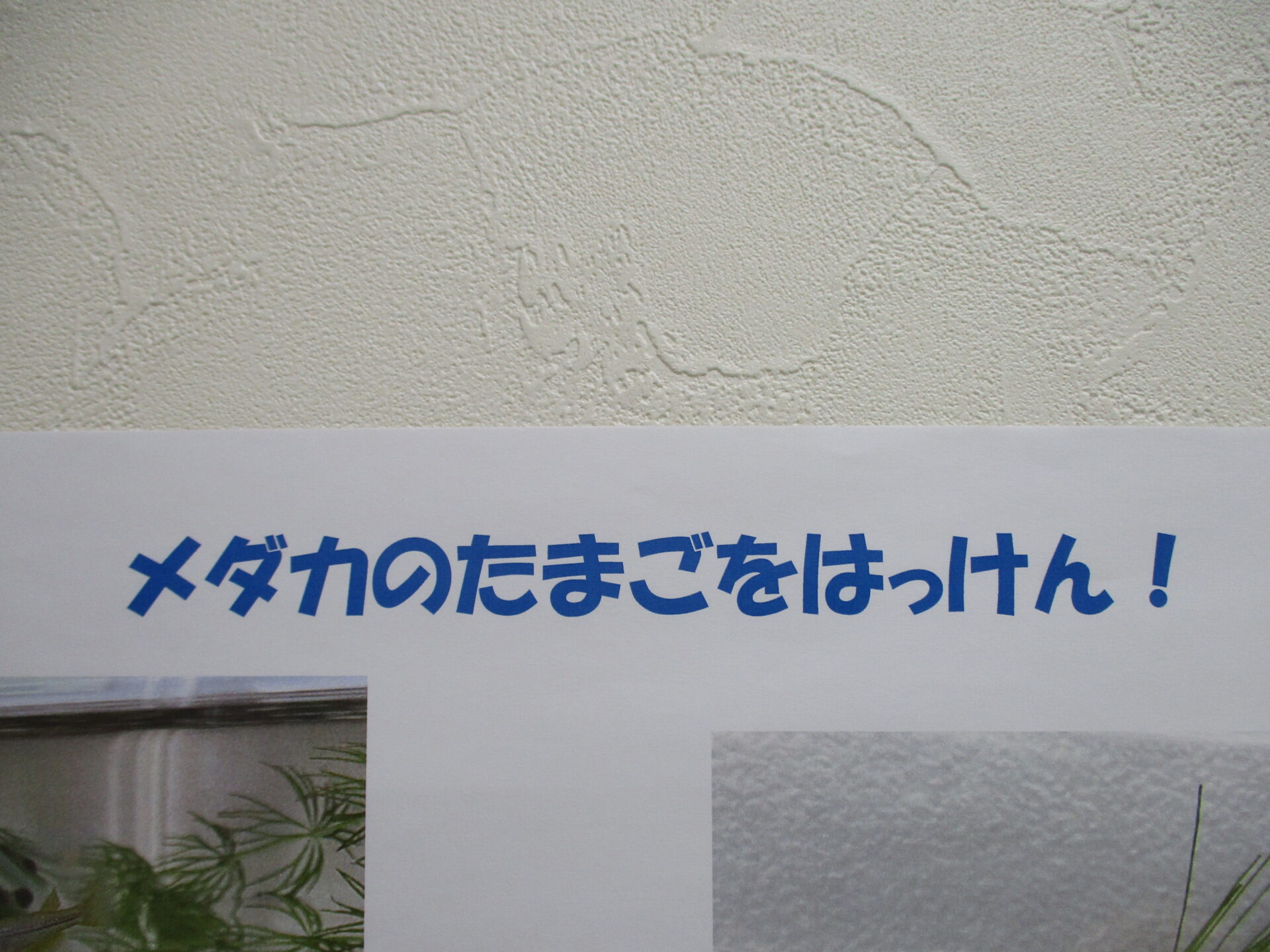 新しいお友達が仲間入り♪