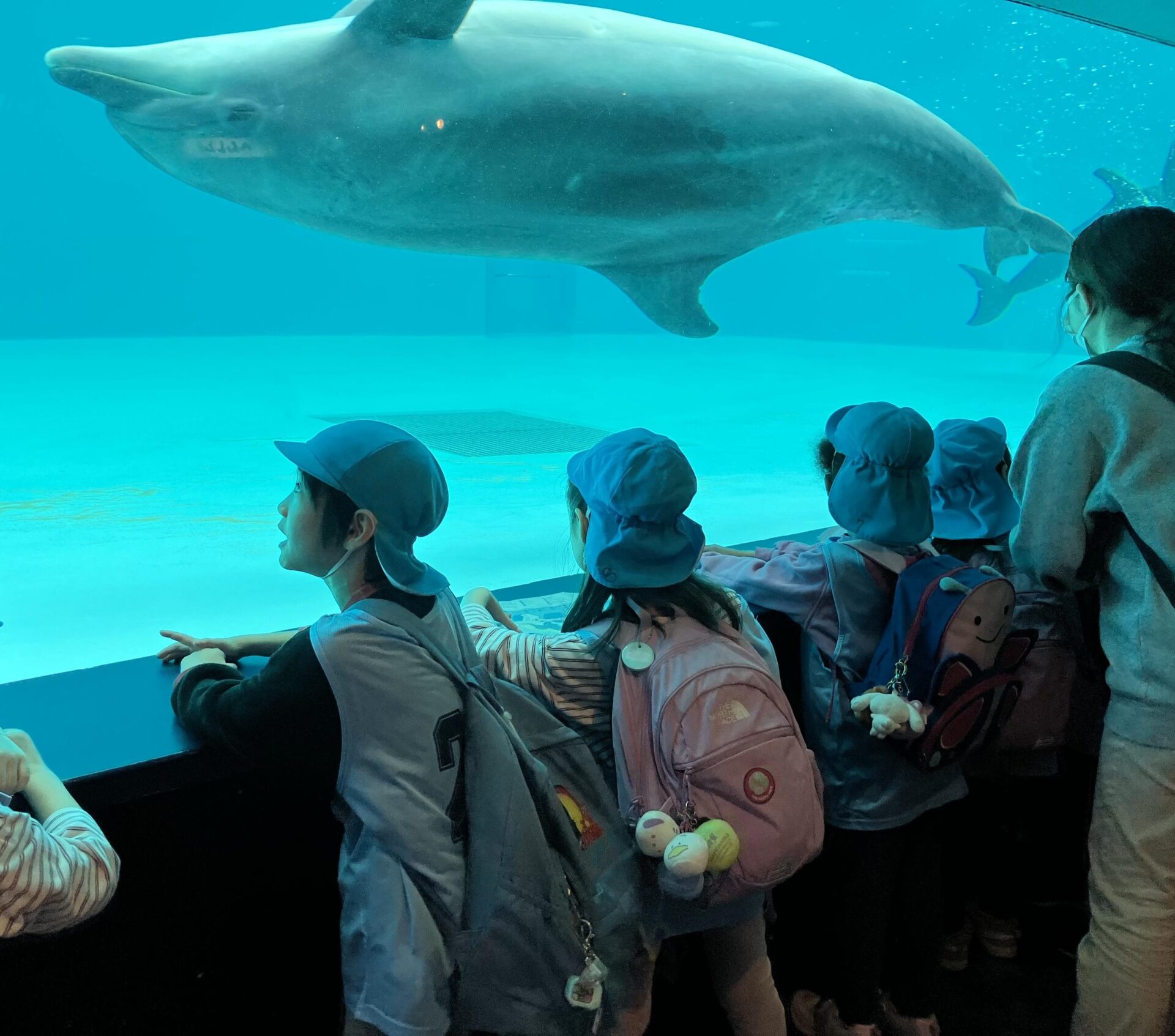 お別れ遠足～品川水族館🐡～