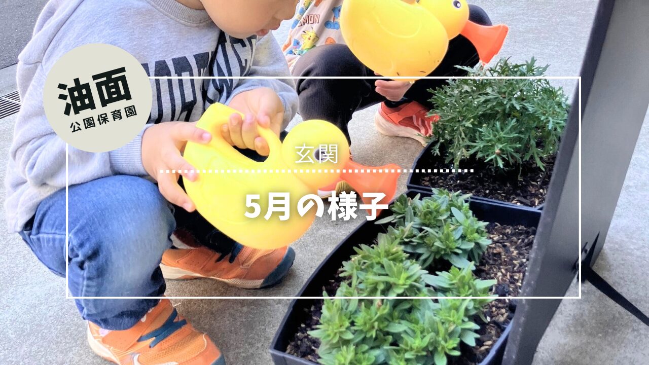 5月玄関の様子