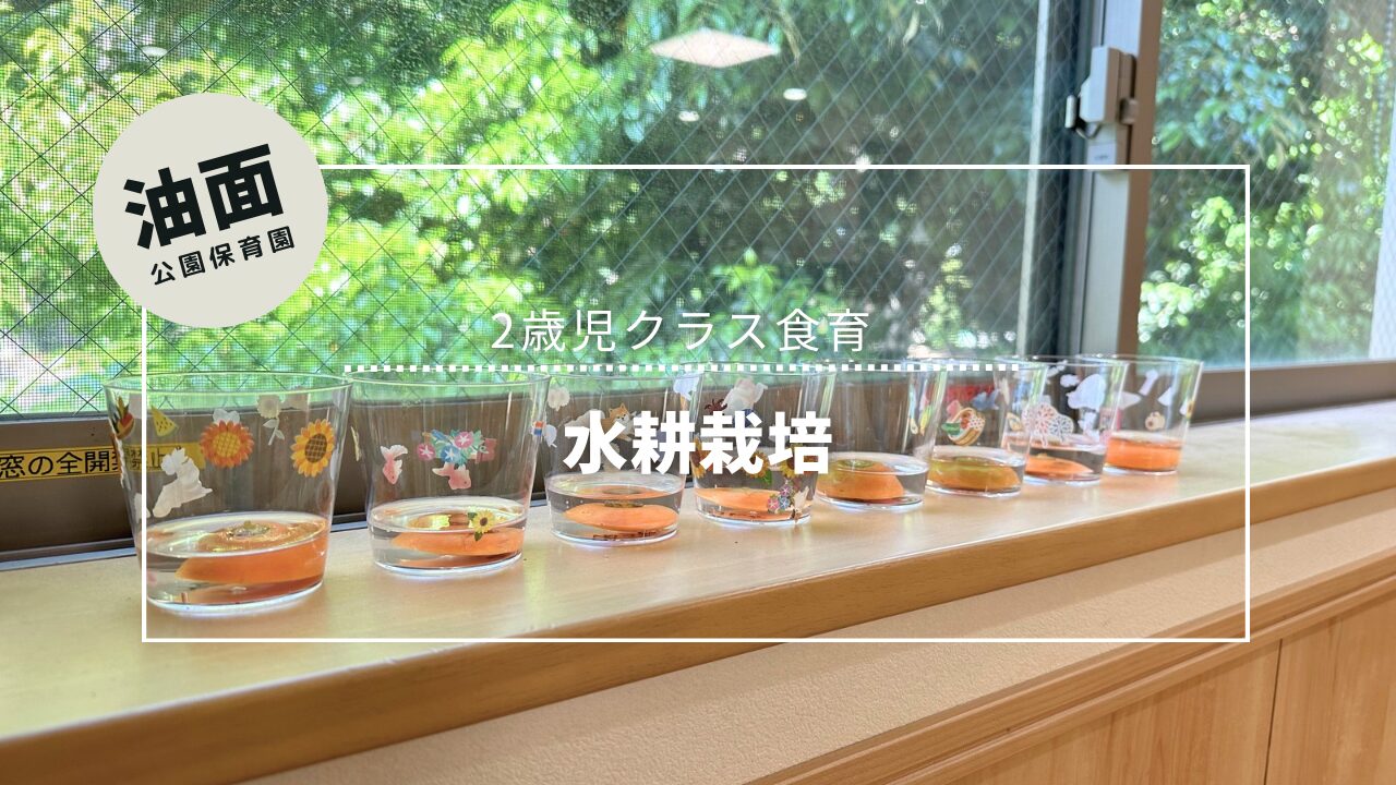 水耕栽培に挑戦！