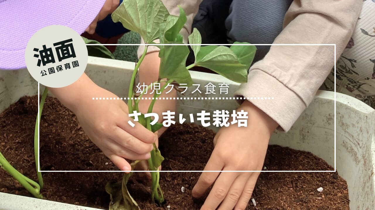 油面さつまいも菜園