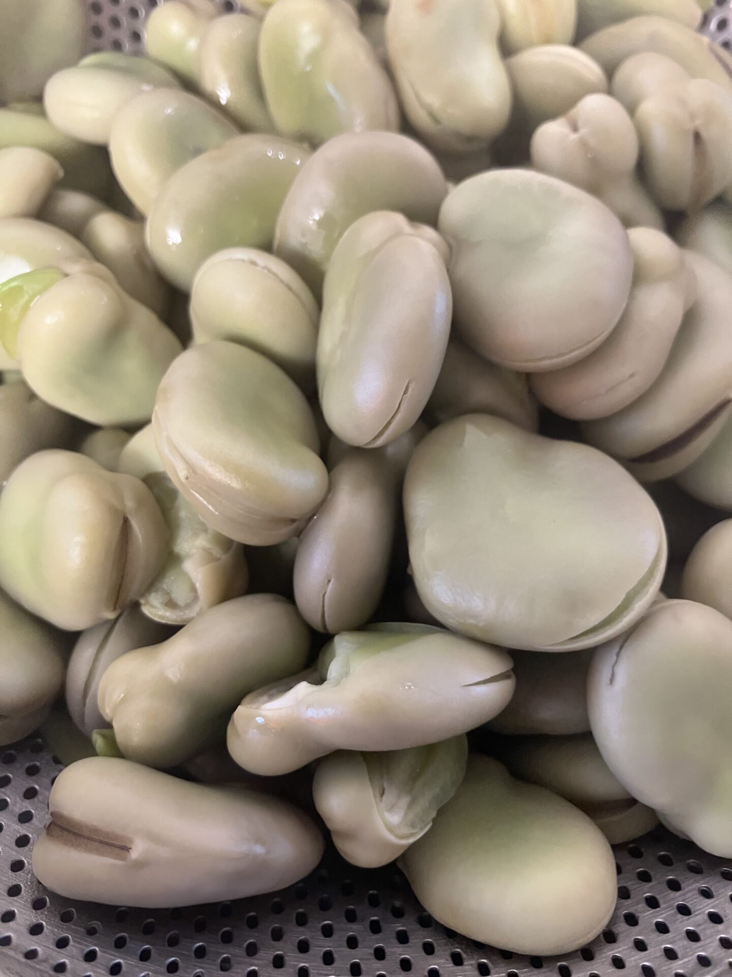 ⁂5月の食育活動（こあら組、うさぎ組）