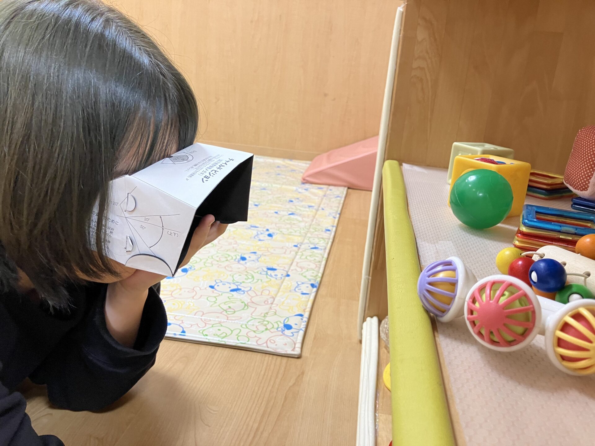 子ども達が見ている世界                                               ～チャイルドビジョンを使用した研修～