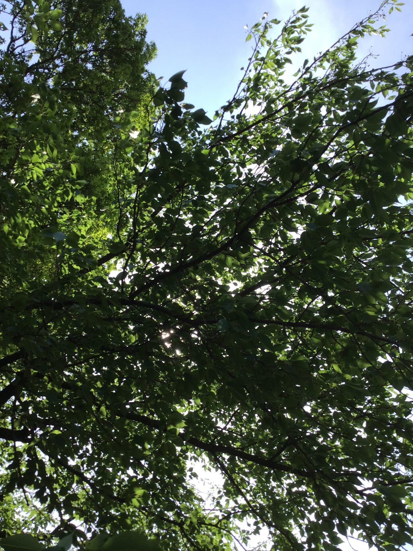 はじめての…☀