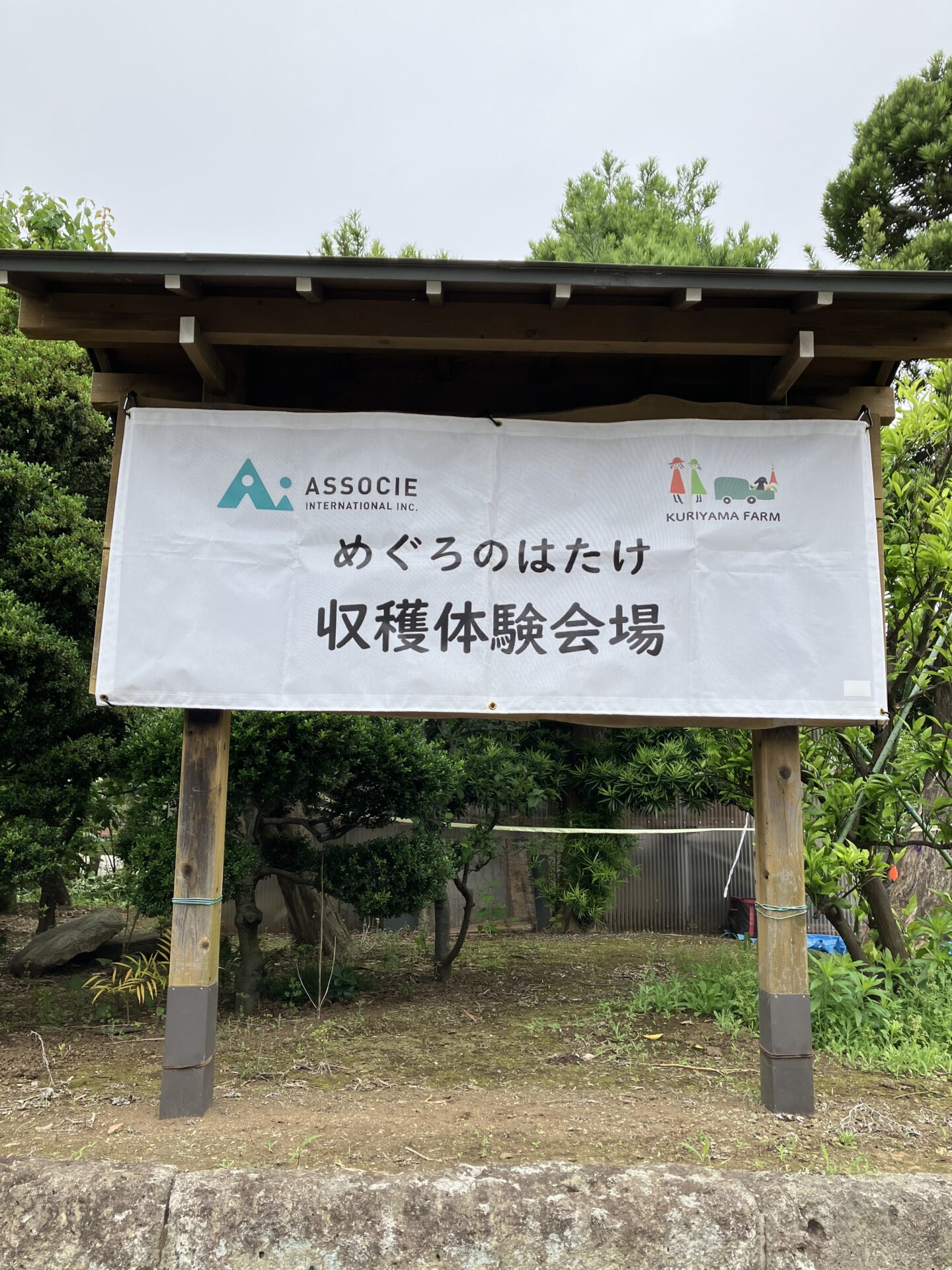 おおきいな～！