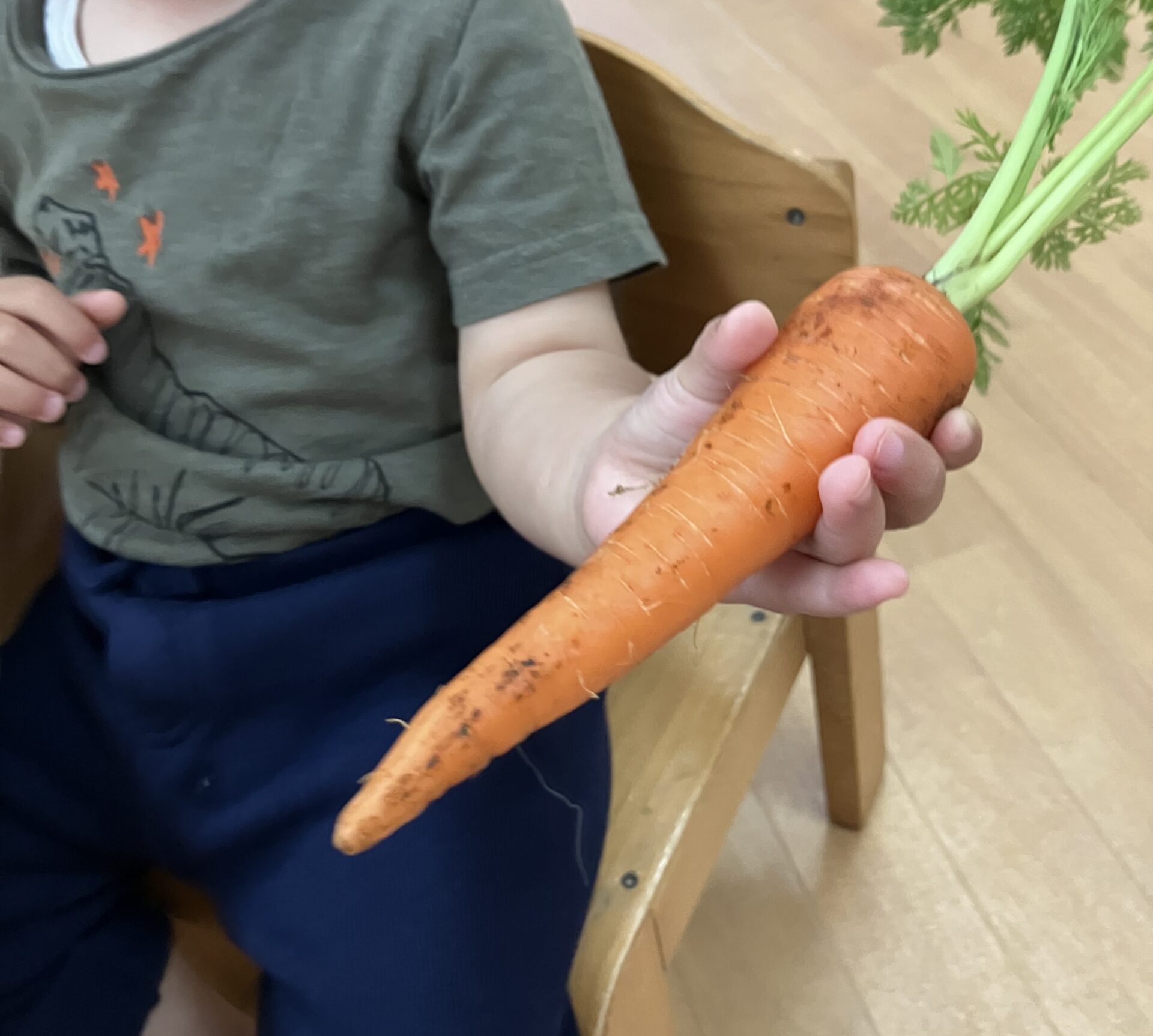 ⁂１歳児食育活動　そら豆さやとり＆葉付き人参に触れてみよう！！