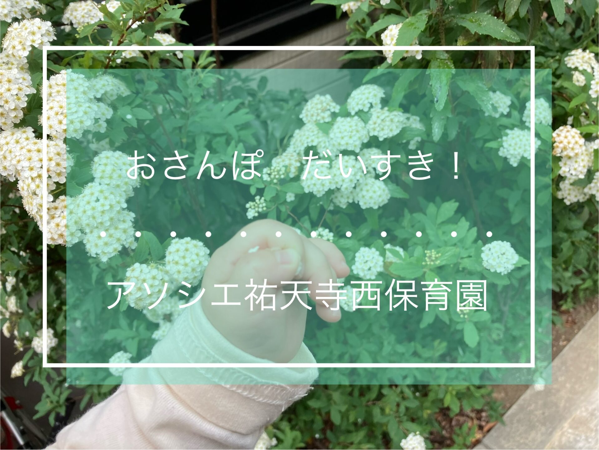 お散歩だいすき！