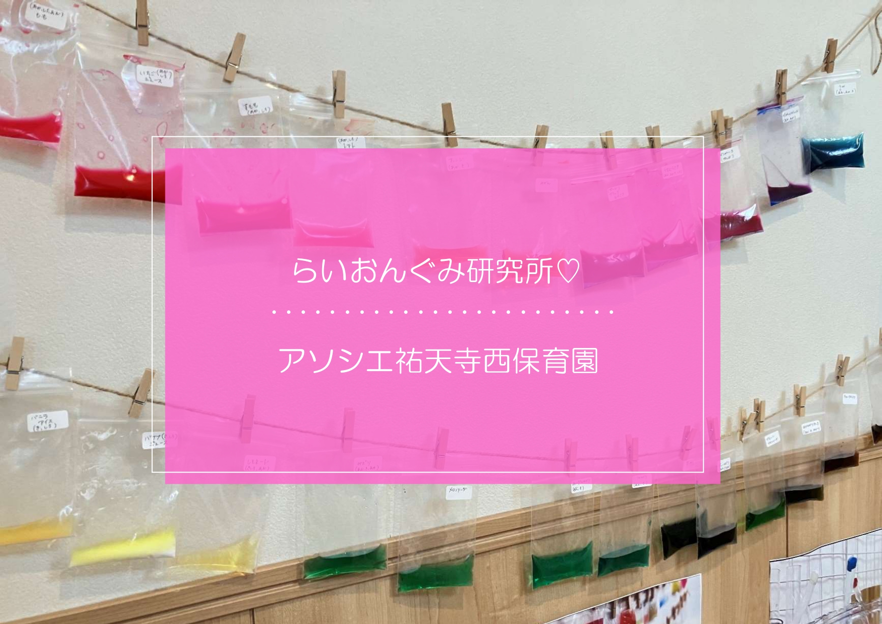 らいおんぐみ研究所🦁