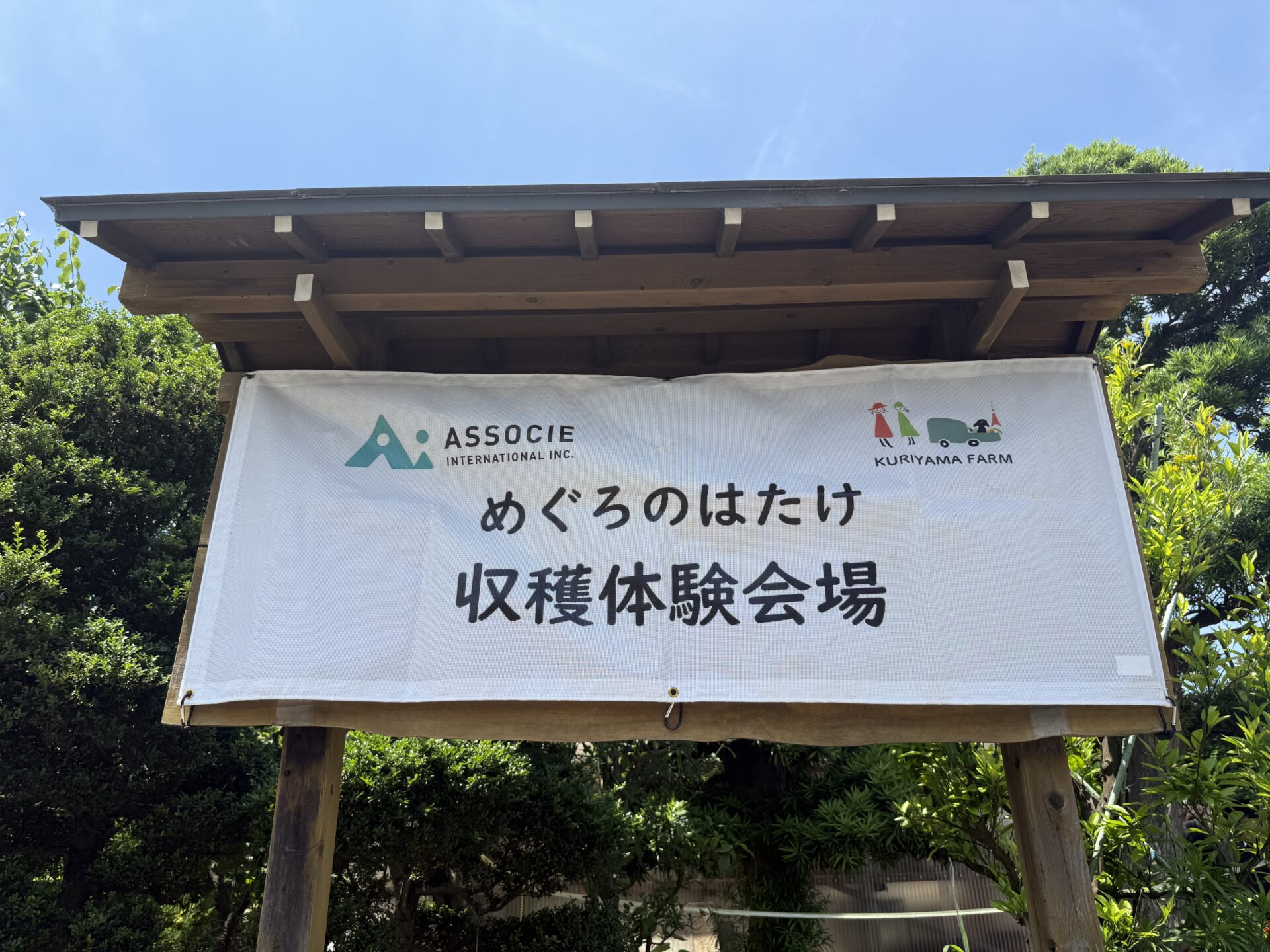 今年も大収穫！