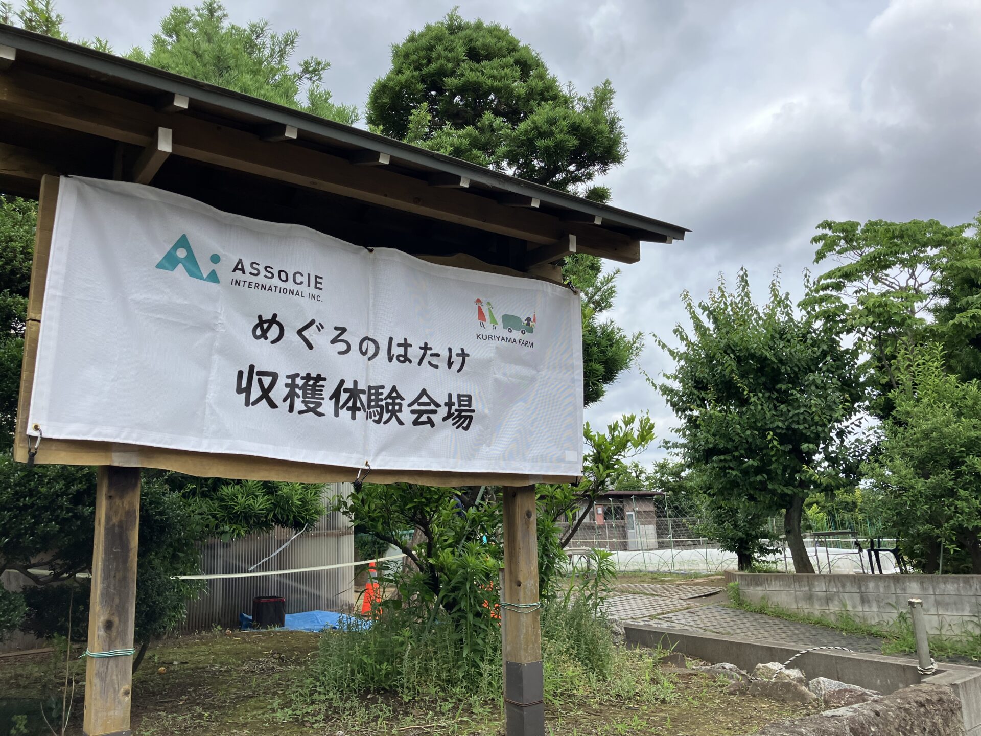 ⁂収穫体験に行ってきました！