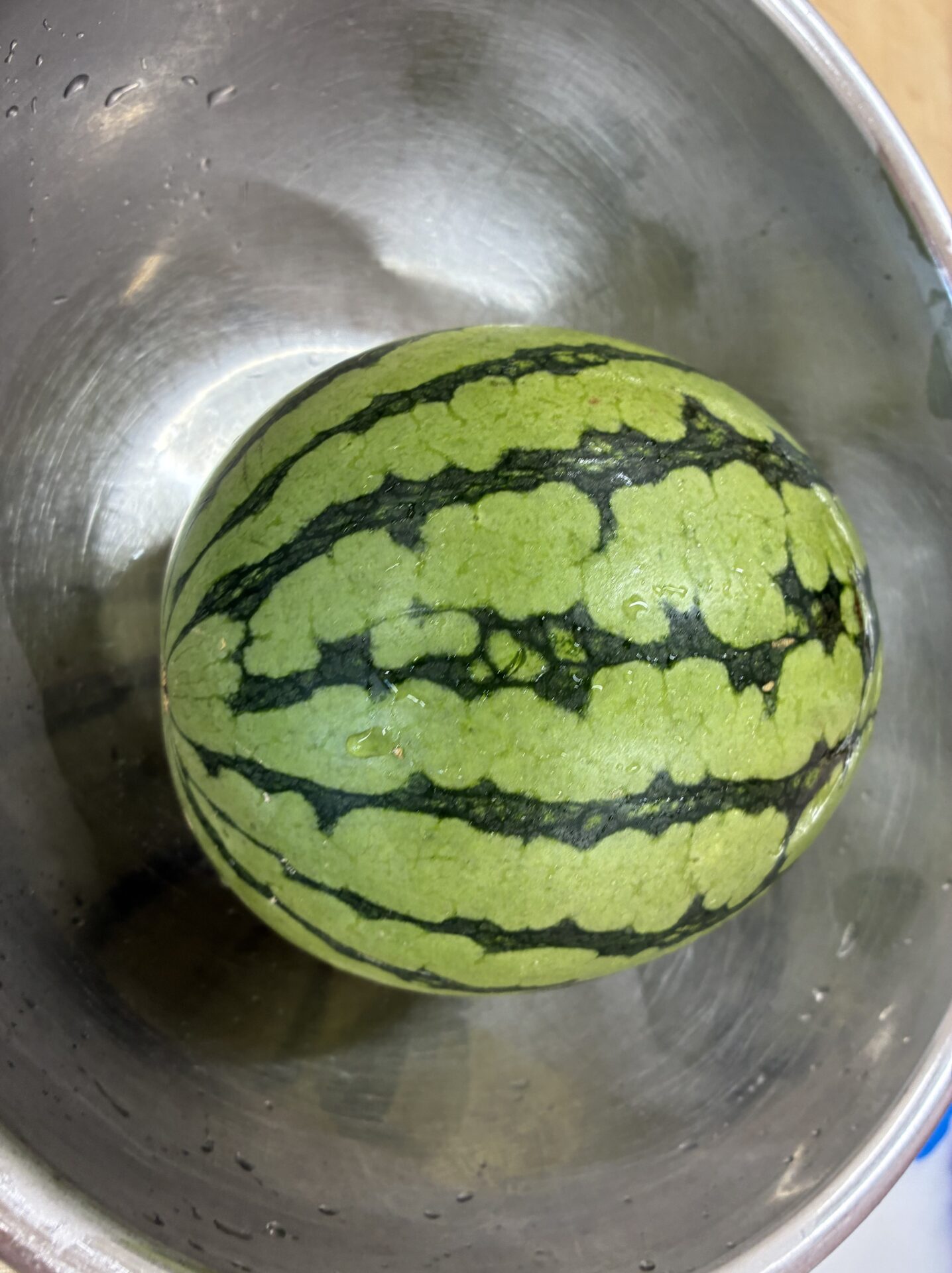 スイカが採れました！