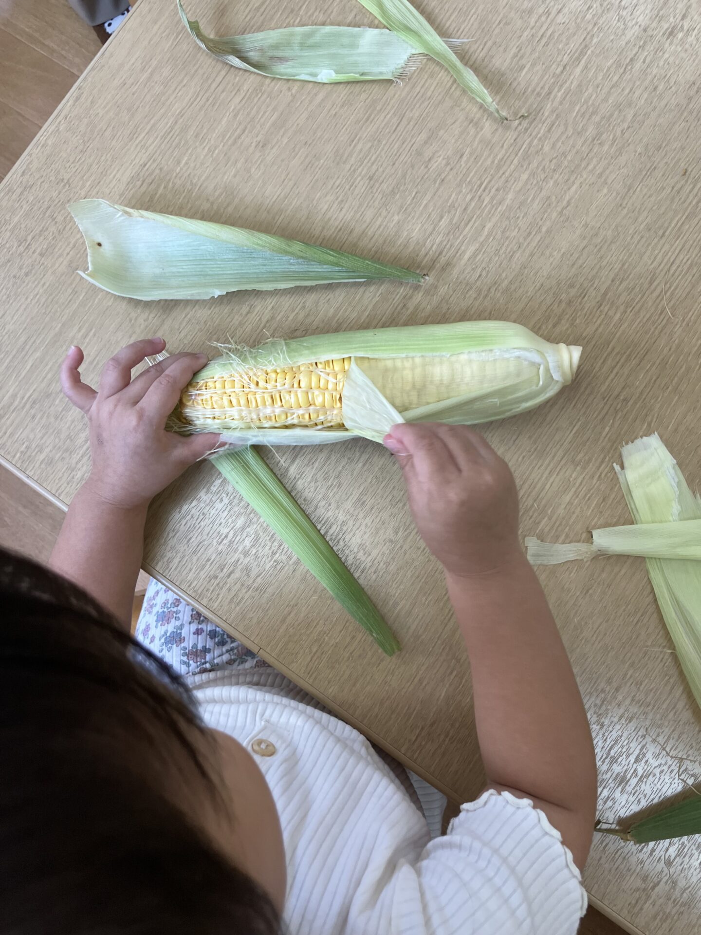 ⁂2歳児食育　トウモロコシの皮をむいてみよう！