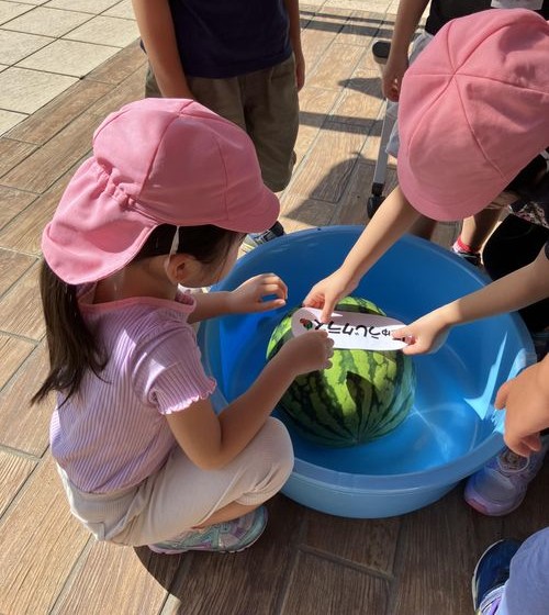 2025年度すいかわり🍉