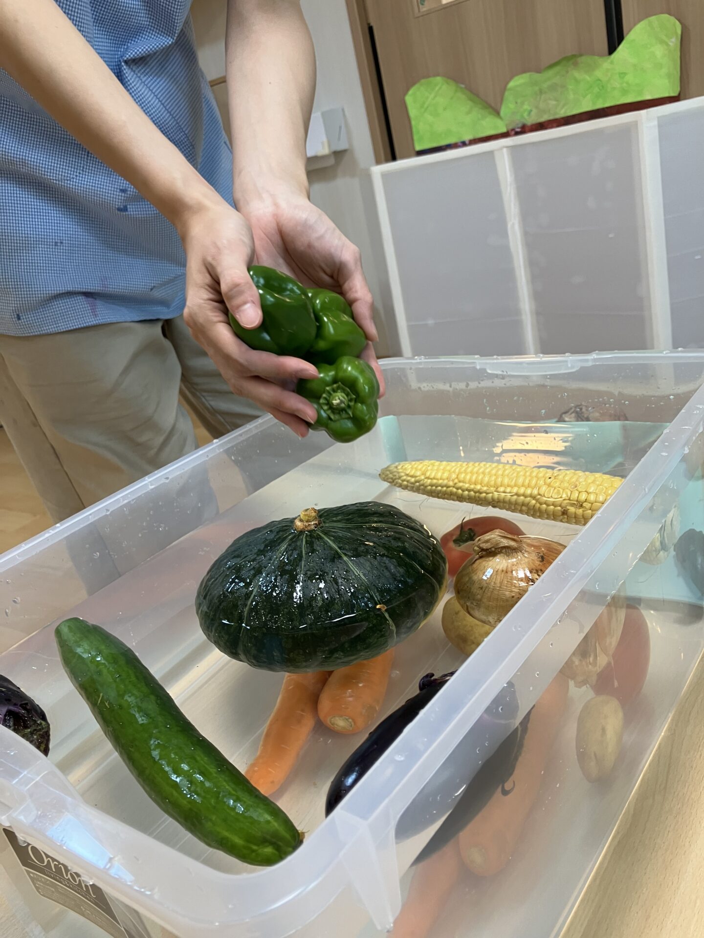 ⁂8月の食育活動～野菜の浮き沈み～
