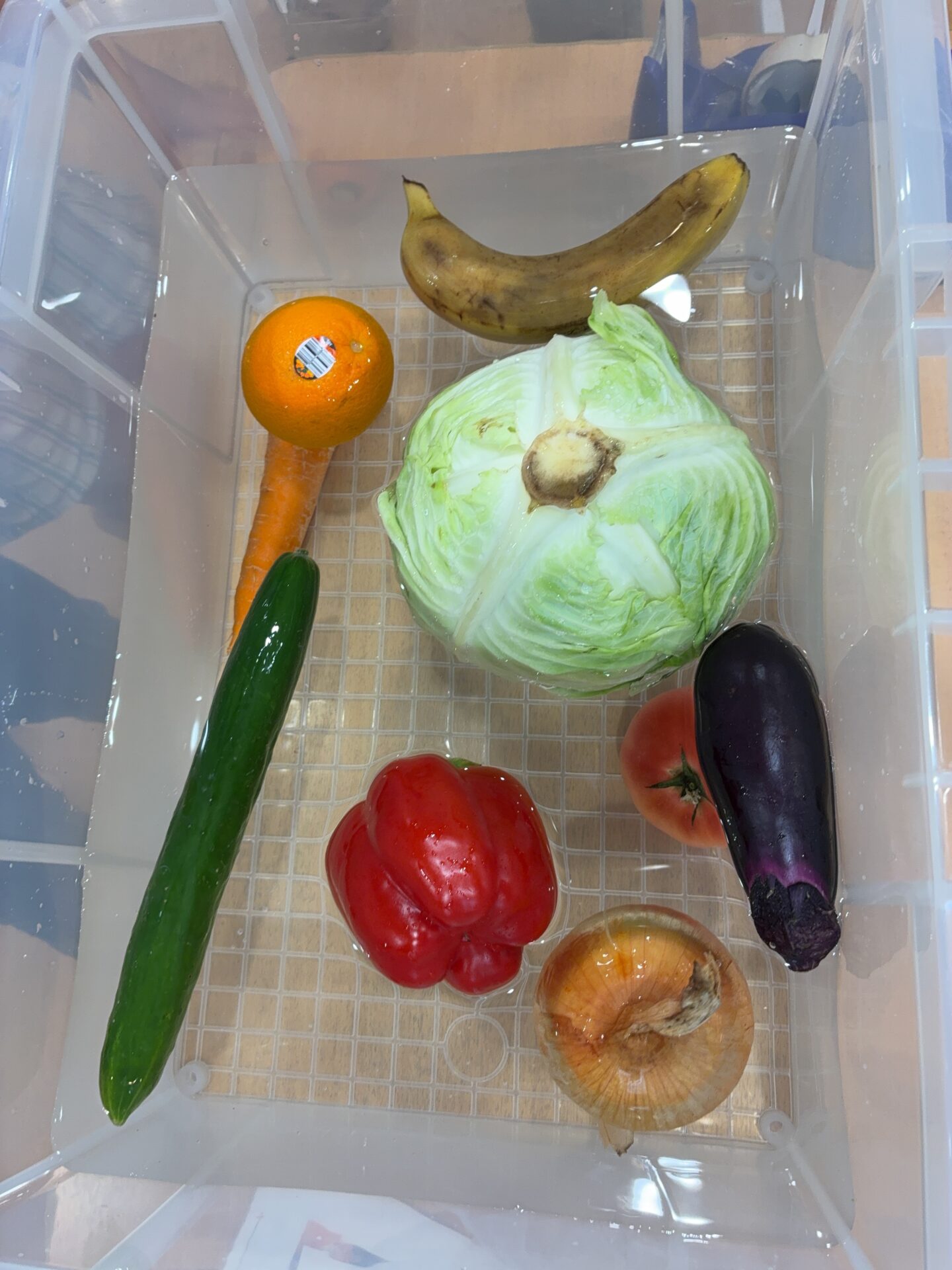 ⁂７月の食育活動