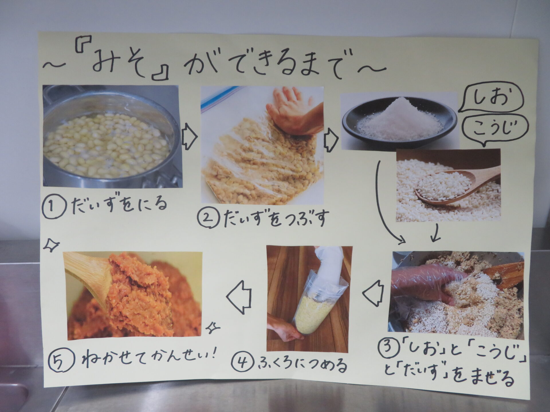 ⁂大豆について～豆腐作り＆味噌づくり～②