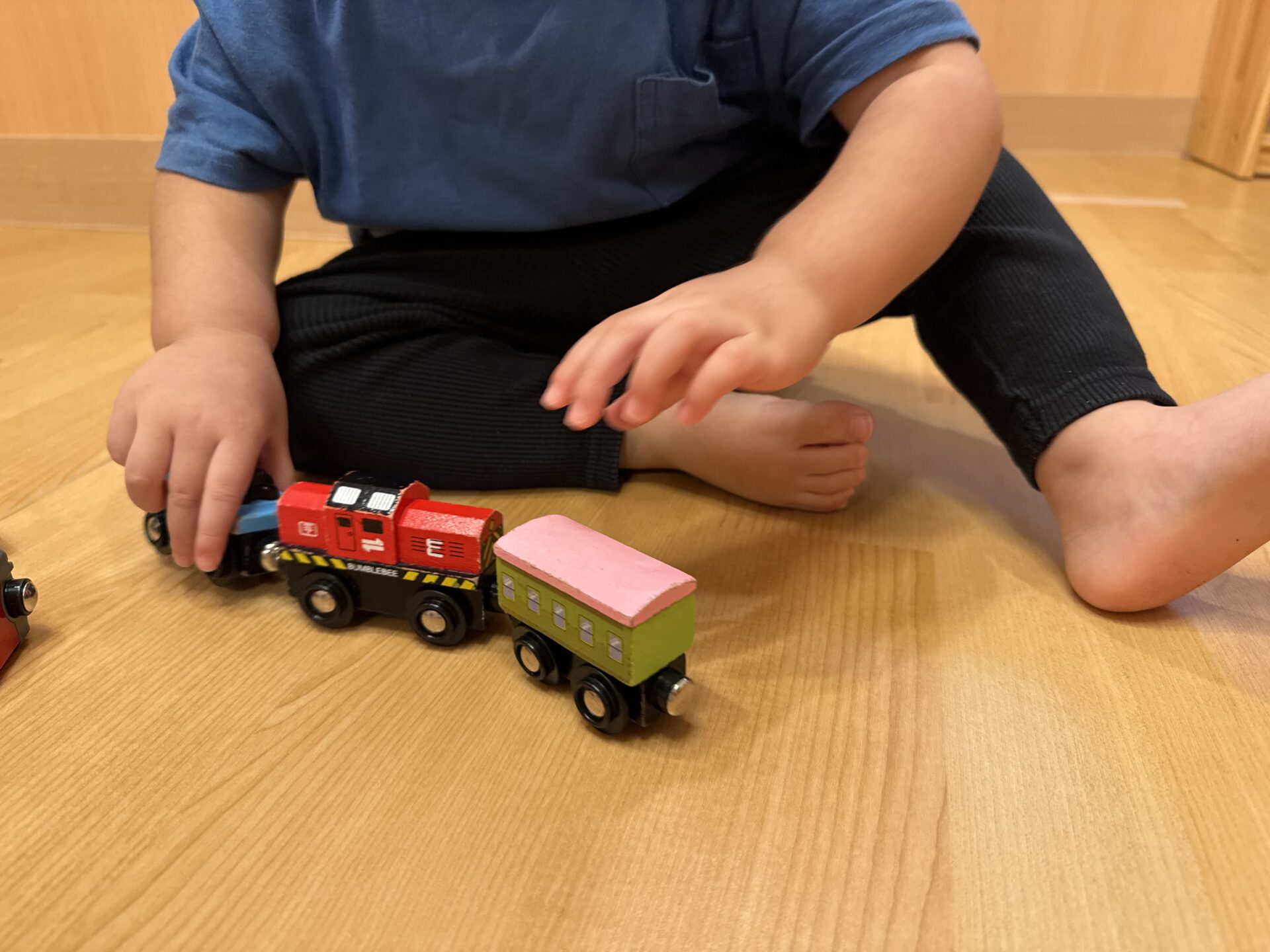 がたんごとん…🚃