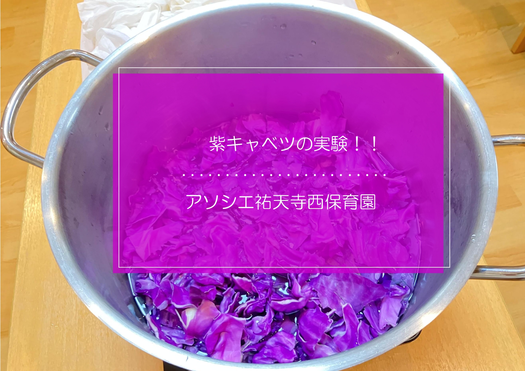 紫キャベツはどうなるの？