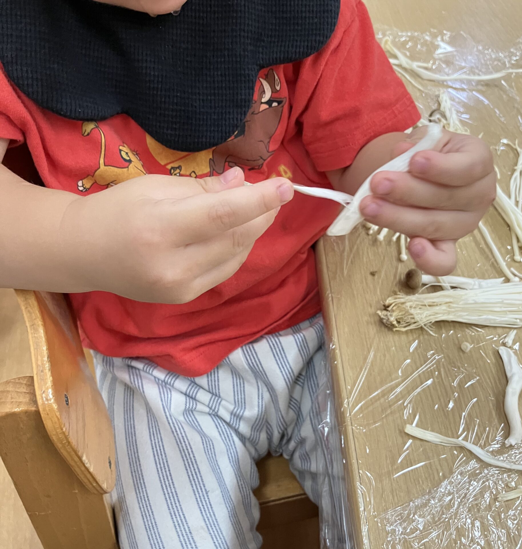 ⁂1歳児食育　きのこを触ってみよう！