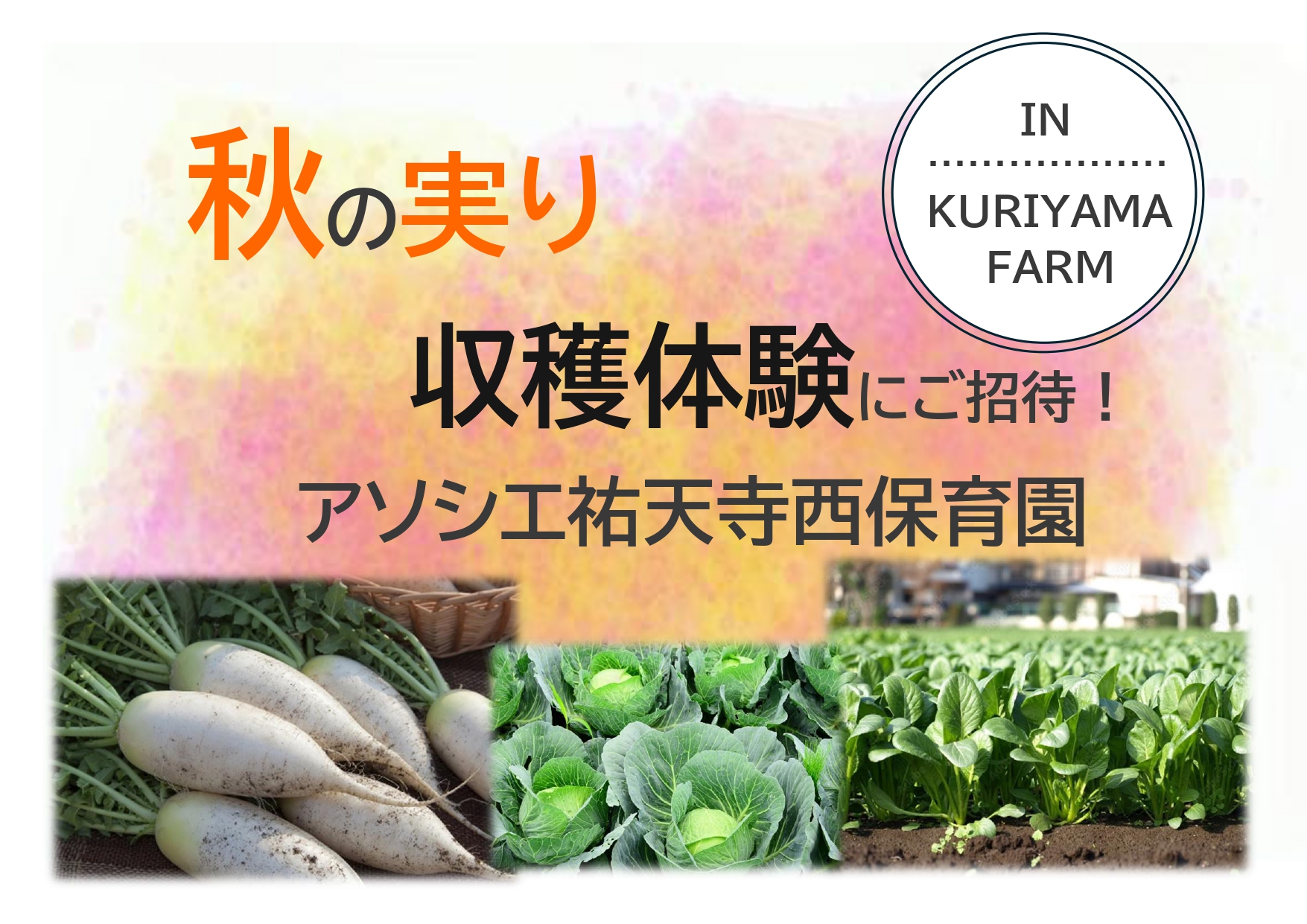 【告知】収穫体験に参加しませんか？