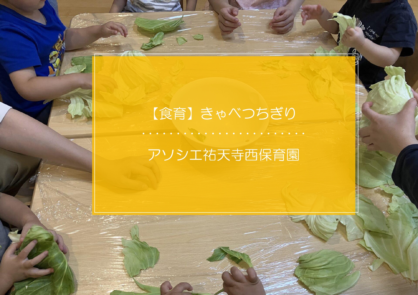 ⁂キャベツちぎり