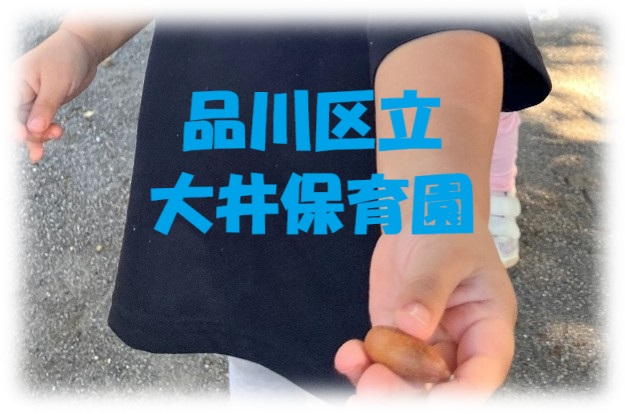 何が落ちているかな?