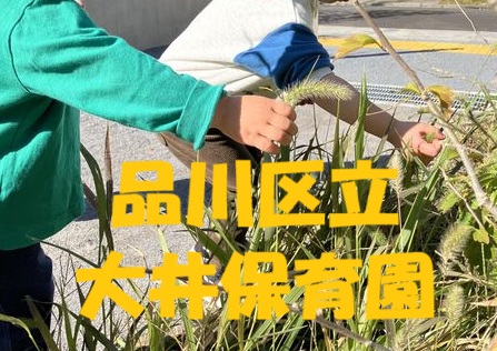 秋の魅力がいっぱい　