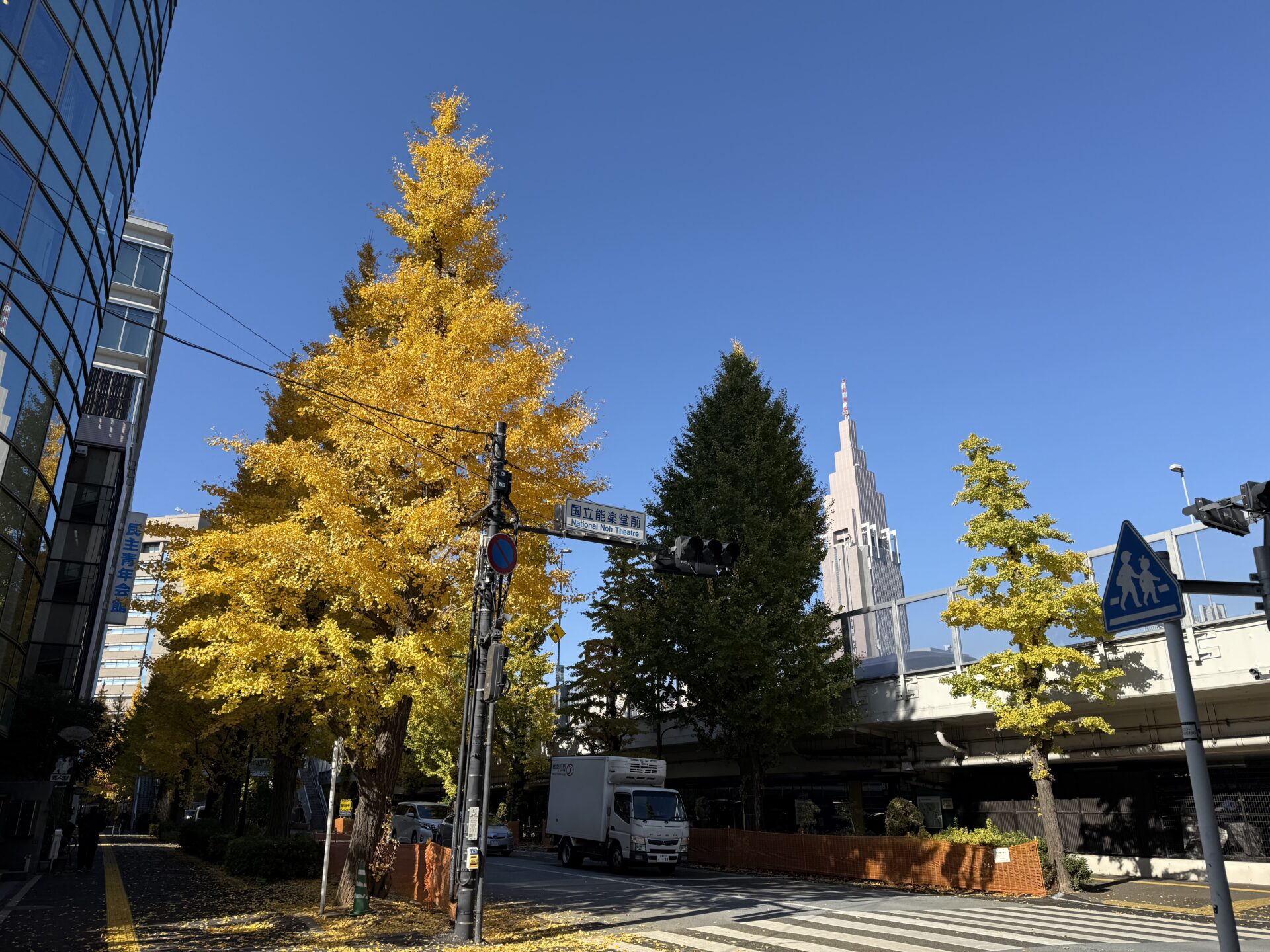 秋、楽しいね！🍂🍁