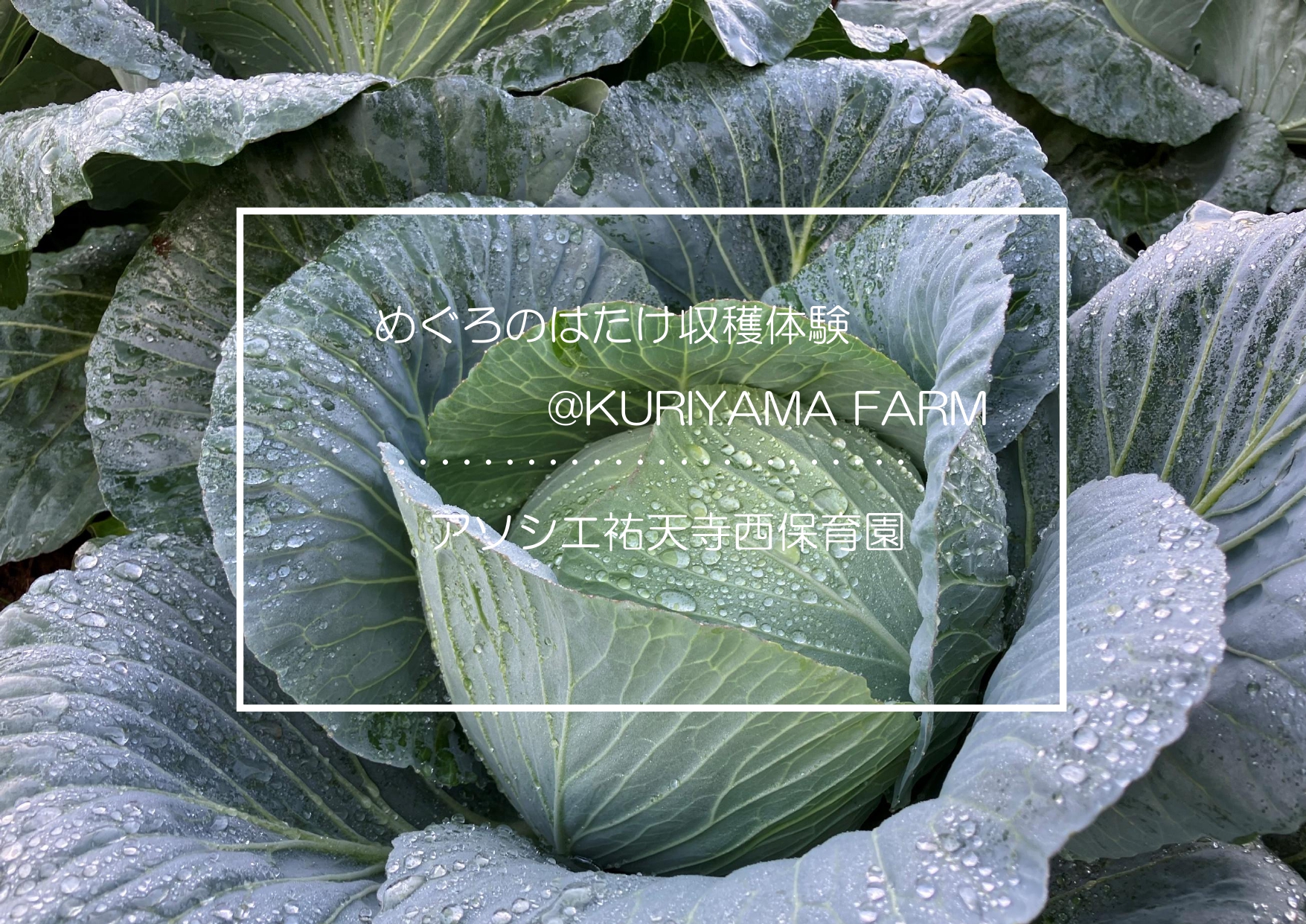 ⁂KURIYAMA FARM収穫体験