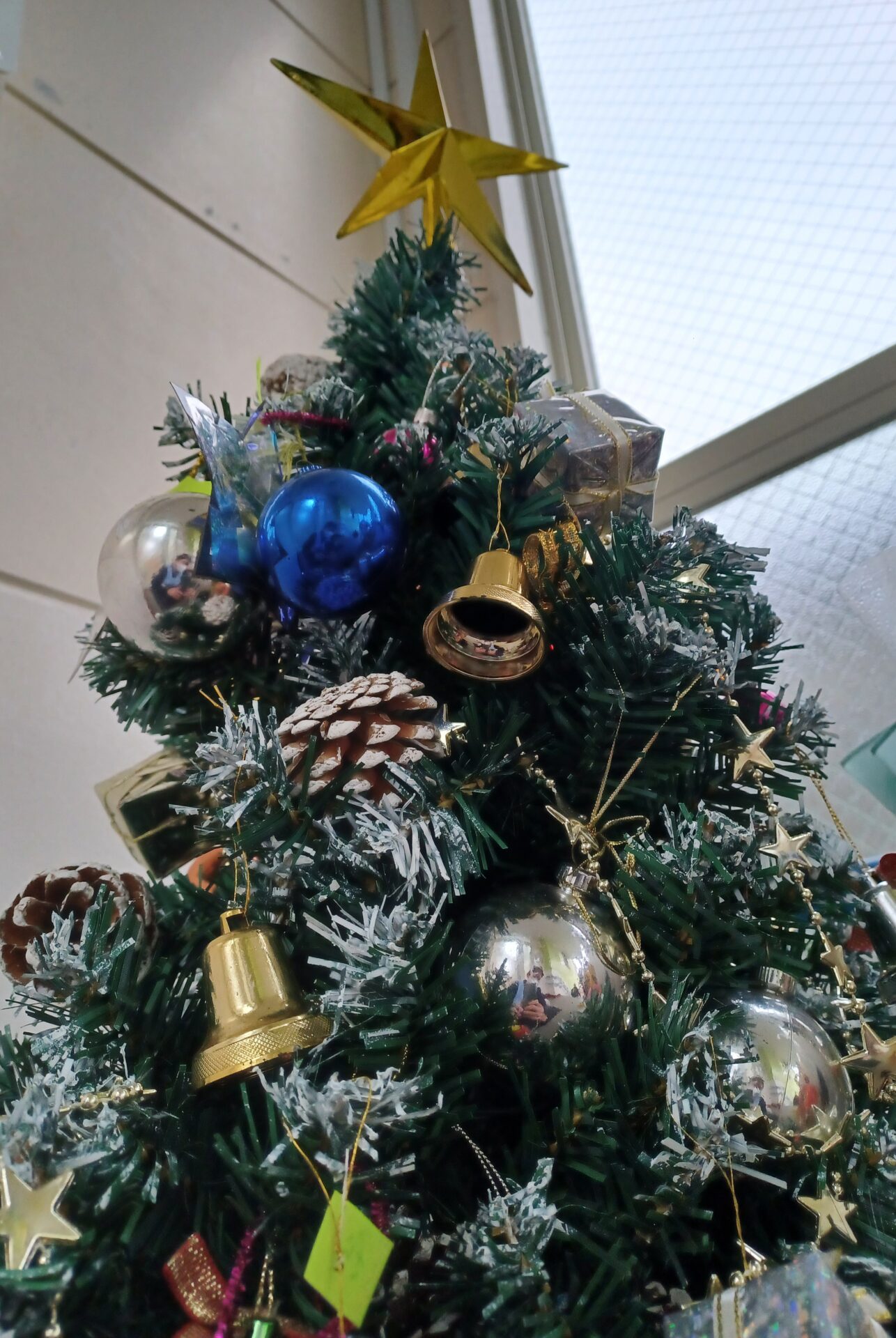 メリークリスマス♪