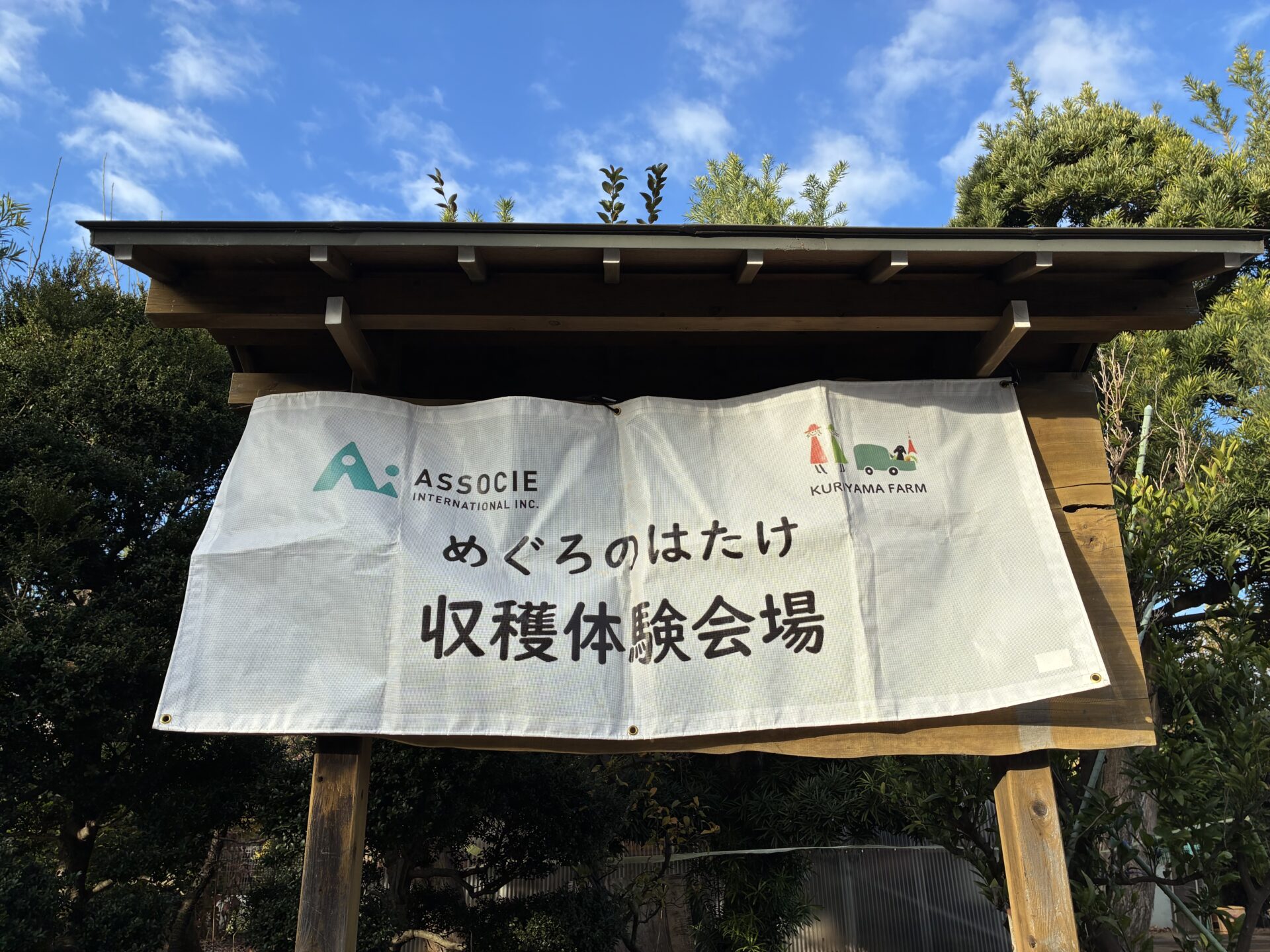 楽しかった収穫体験